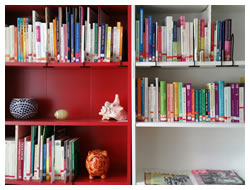Foto: Bücherregale (Auswahl aus über 500 Fachbüchern mit Informationen zu vielen Frauenthemen)