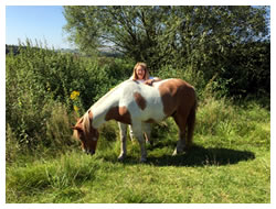 Foto Frau teht hinter einem gefleckten Pferd am Rande einer Wiese